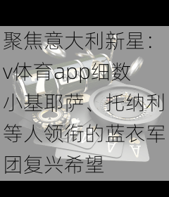 聚焦意大利新星：v体育app细数小基耶萨、托纳利等人领衔的蓝衣军团复兴希望