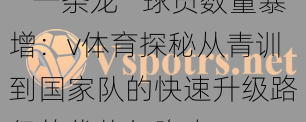 “一条龙”球员数量暴增：v体育探秘从青训到国家队的快速升级路径的优势与隐患