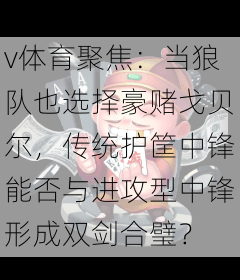 v体育聚焦：当狼队也选择豪赌戈贝尔，传统护筐中锋能否与进攻型中锋形成双剑合璧？